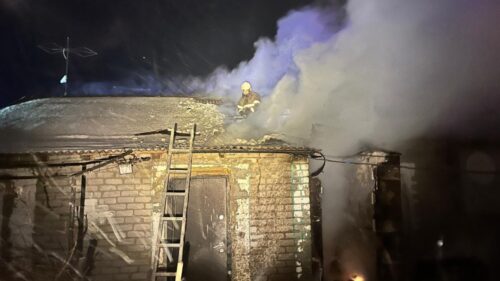 В Павлодарской области из горящего дома спасли пятерых детей