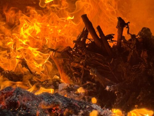 В Павлодаре сожгли 44 кг наркотиков