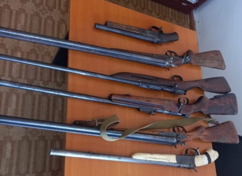 Незарегистрированное оружие и патроны изъяли у павлодарцев