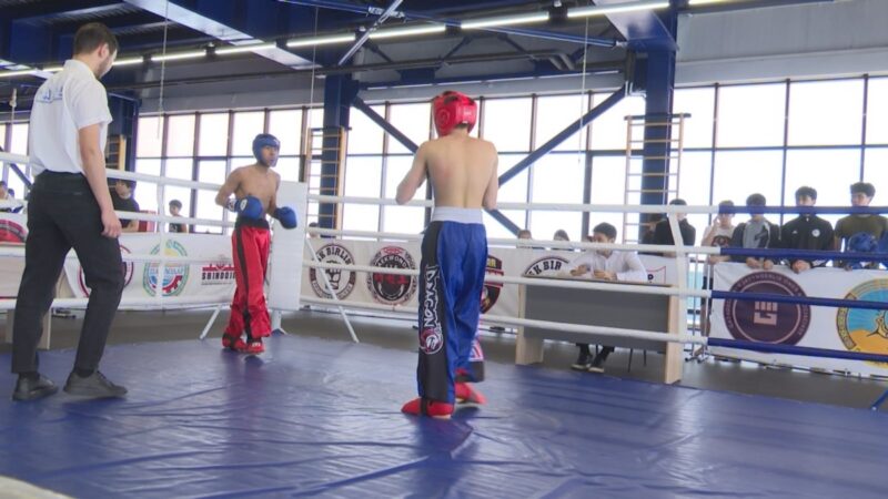 В Павлодаре стартовал отборочный турнир по кикбоксингу