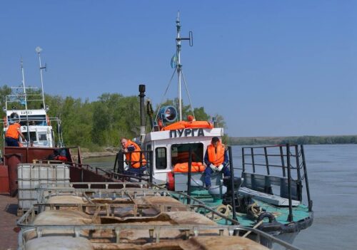 Увеличить площадь обработки Иртыша против гнуса планируют в Павлодарской области