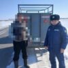 «Скотокрад»: в Павлодарской области пресекли перевозку мяса без документов