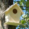 Мастер-класс по изготовлению скворечников организуют в Павлодаре