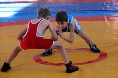 Лучших борцов Павлодарской области определили в Аксу