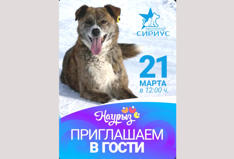 Друзья, отметим Наурыз вместе!