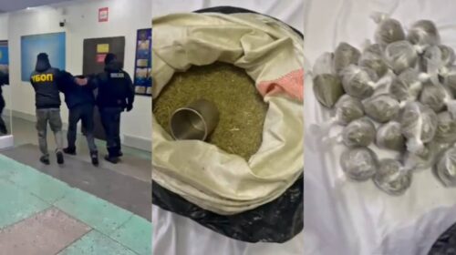 В Павлодарской области изъяли 11 кг наркотиков