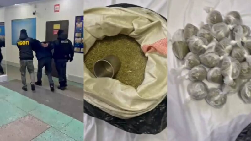 В Павлодарской области изъяли 11 кг наркотиков