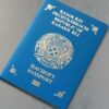 У жительницы Павлодарской области выявили двойное гражданство