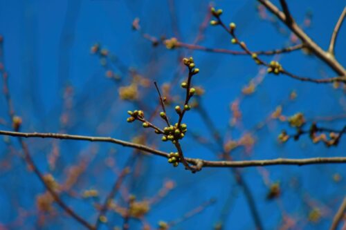 Дождь и до +5°C ожидают павлодарцев на Наурыз