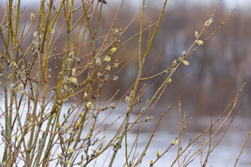 Теплая погода без осадков ожидается на выходных в Павлодаре