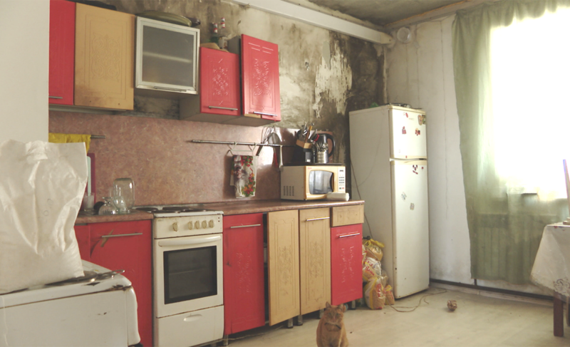 Заплесневелые проблемы