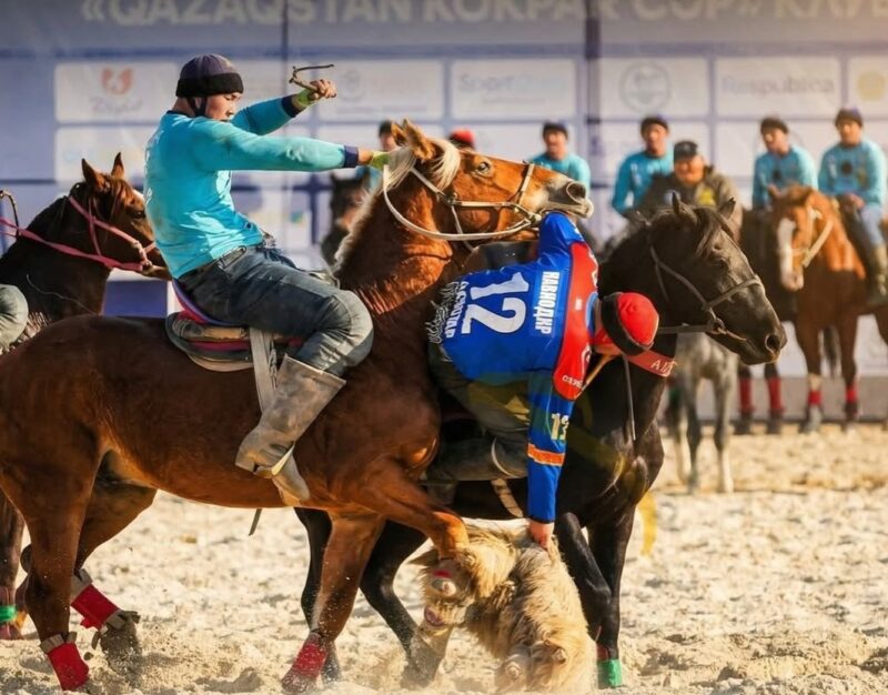 В Павлодаре пройдет первенство области по национальным видам конного спорта