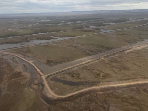 В Павлодарской области восстановят лиманы