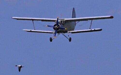 В Павлодар прибыли 10 самолетов для обработки поймы Иртыша от гнуса