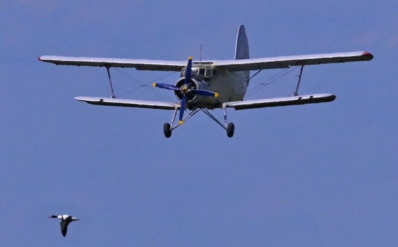 В Павлодар прибыли 10 самолетов для обработки поймы Иртыша от гнуса