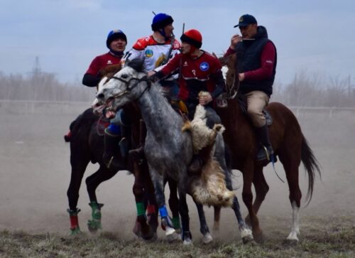В Павлодаре определили сильнейших мастеров по кокпару