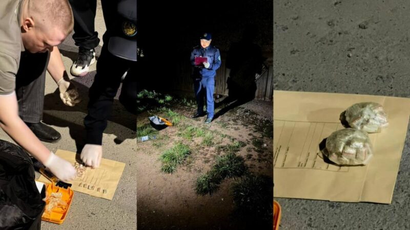У павлодарца изъяли более тысячи доз мефедрона