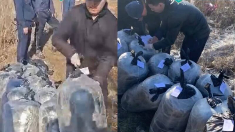 В гаражном кооперативе Павлодара обнаружили тайник с 13 мешками марихуаны