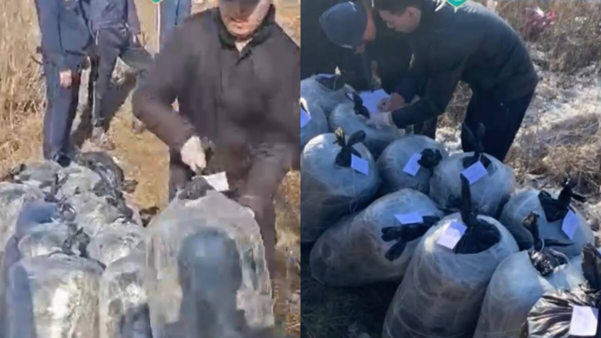 В гаражном кооперативе Павлодара обнаружили тайник с 13 мешками марихуаны