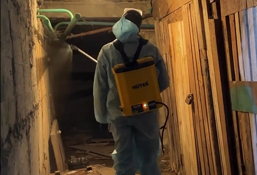 Жители Павлодара могут подать заявку на обработку подвалов от комаров