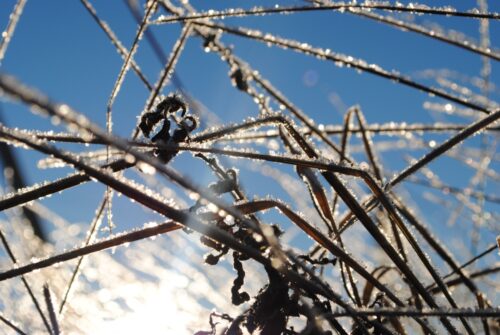 В Павлодаре ожидается понижение температуры