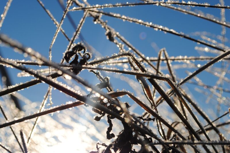 В Павлодаре ожидается понижение температуры