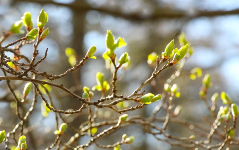 Погода без осадков ожидается на выходных в Павлодаре