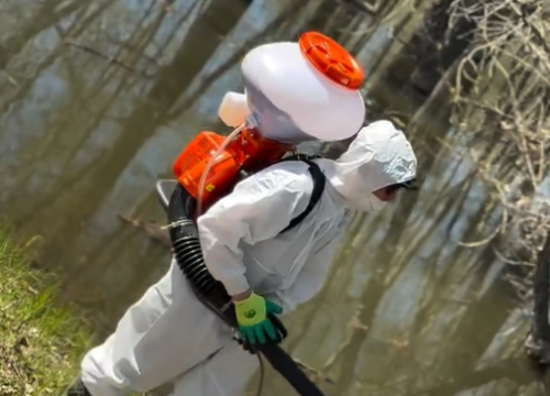 В Павлодаре приступили к обработке водоемов против личинок комаров