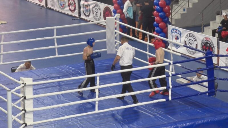 В Павлодаре стартовал чемпионат Казахстана по кикбоксингу
