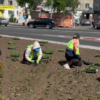 Цветники на площади 30 тыс. кв. метров обустроят в Павлодаре
