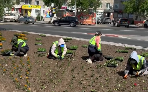 Цветники на площади 30 тыс. кв. метров обустроят в Павлодаре