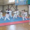 Форум единоборств в Павлодаре собрал более 100 спортсменов