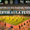 Дворовой фестиваль Ertis aula fest организуют на Малайсары батыра в Павлодаре