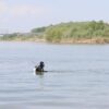Павлодарские спасатели разыскивают 17-летнего подростка, пропавшего на пляже «Золотые пески»