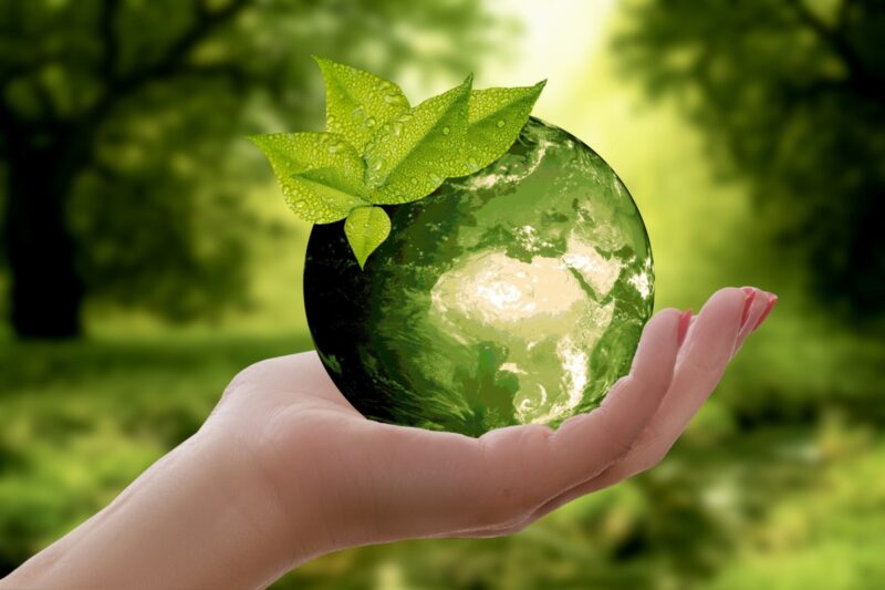 В Горсаде Павлодара пройдет EcoFest