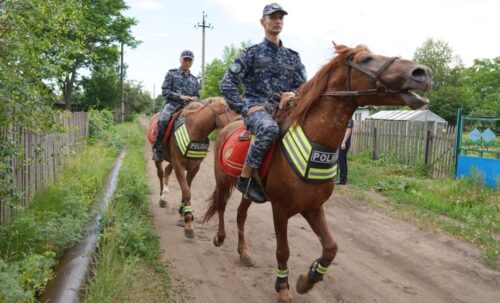 Фото: конный патруль на защите павлодарских дач