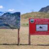 В Павлодарской области приступили к уничтожению каракуртов