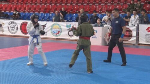 Павлодар впервые принял чемпионат РК по рукопашному бою и самообороне