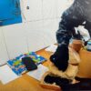 Телефон в хлебе пытались передать в колонию Павлодара