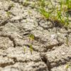 «Казгидромет» предупредил о риске засухи в Павлодарской области