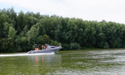 На троих павлодарцев завели уголовные дела за вождение лодок в пьяном виде