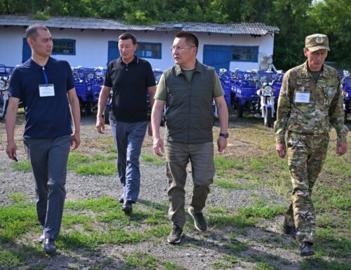 Павлодарские леса возьмут под круглосуточное патрулирование