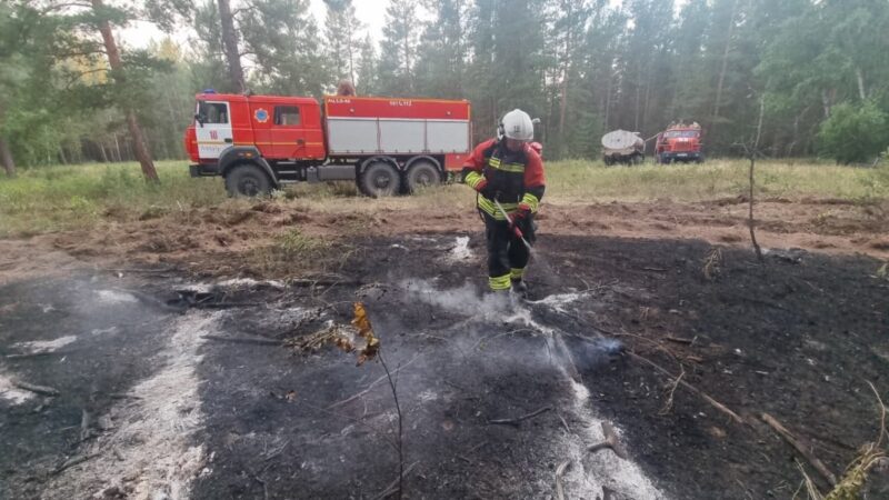 В резервате «Ертіс орманы» ликвидировали лесной пожар