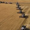 В Иртышском районе Павлодарской области убрали 70% зерновых
