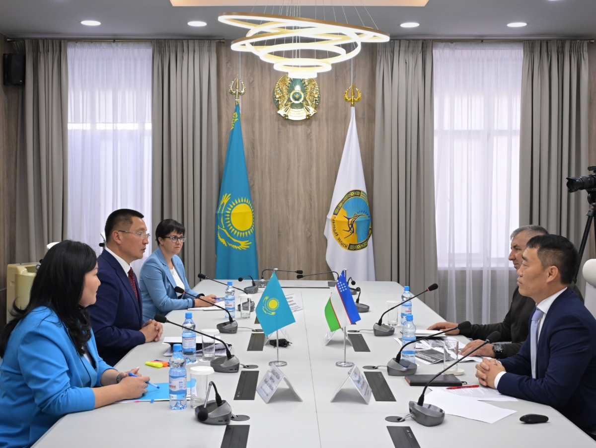 Узбекская компания намерена запустить в Павлодарской области проект по глубокой переработке угля
