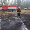 Количество лесных пожаров в Павлодарской области выросло на четверть