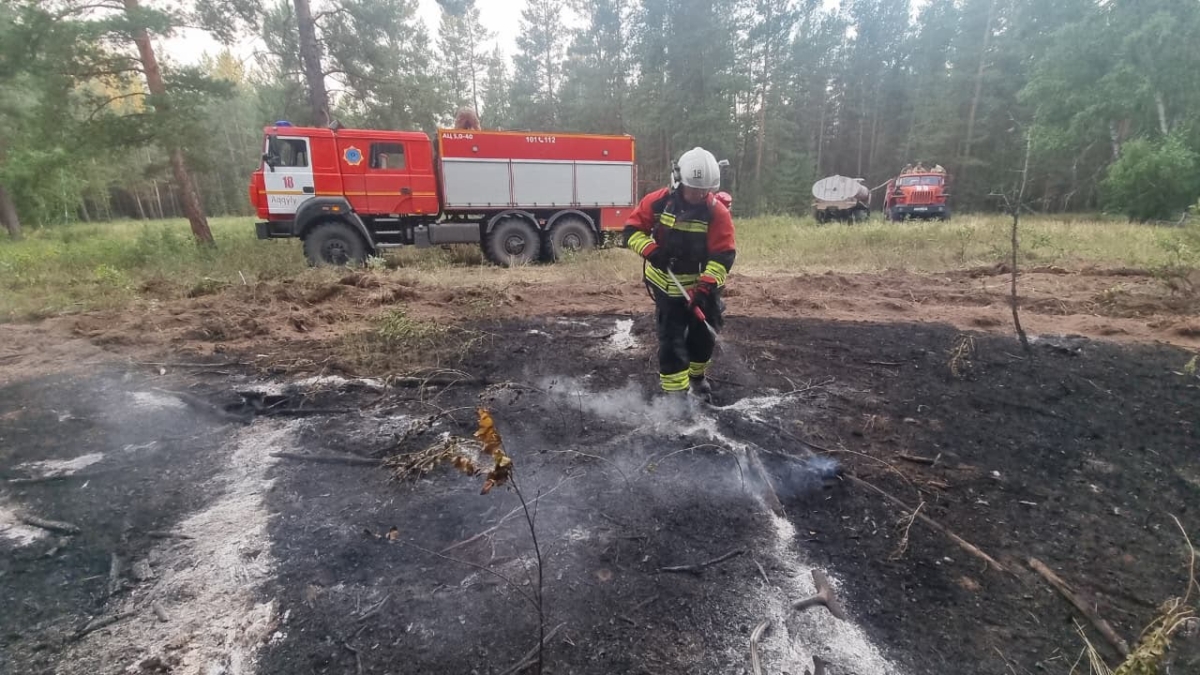 Количество лесных пожаров в Павлодарской области выросло на четверть