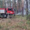 В природном резервате «Ертіс орманы» за сутки произошло четыре лесных пожара