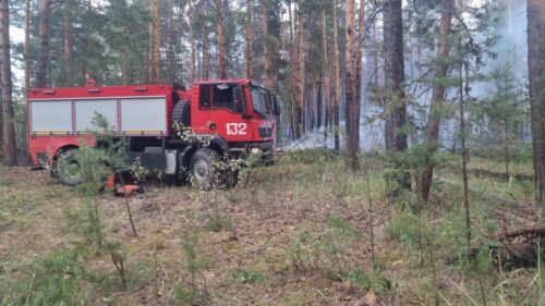 В природном резервате «Ертіс орманы» за сутки произошло четыре лесных пожара