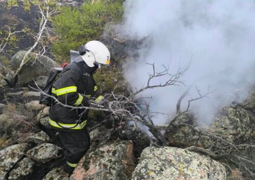 В горах Баянаульского нацпарка на третьи сутки локализовали пожар